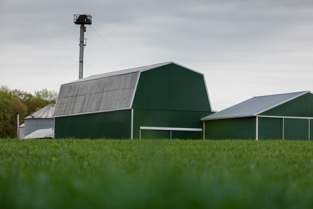 Are Metal Barns Safe For Horses