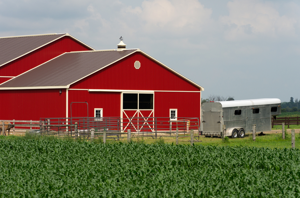 Are Metal Barns Safe For Horses