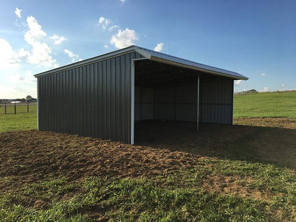 Lion Buildings – Metal Buildings