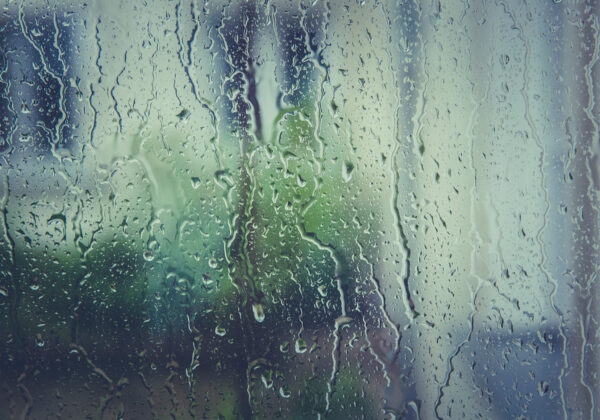View of Tips for Moisture Control in Metal Buildings – Lion Buildings